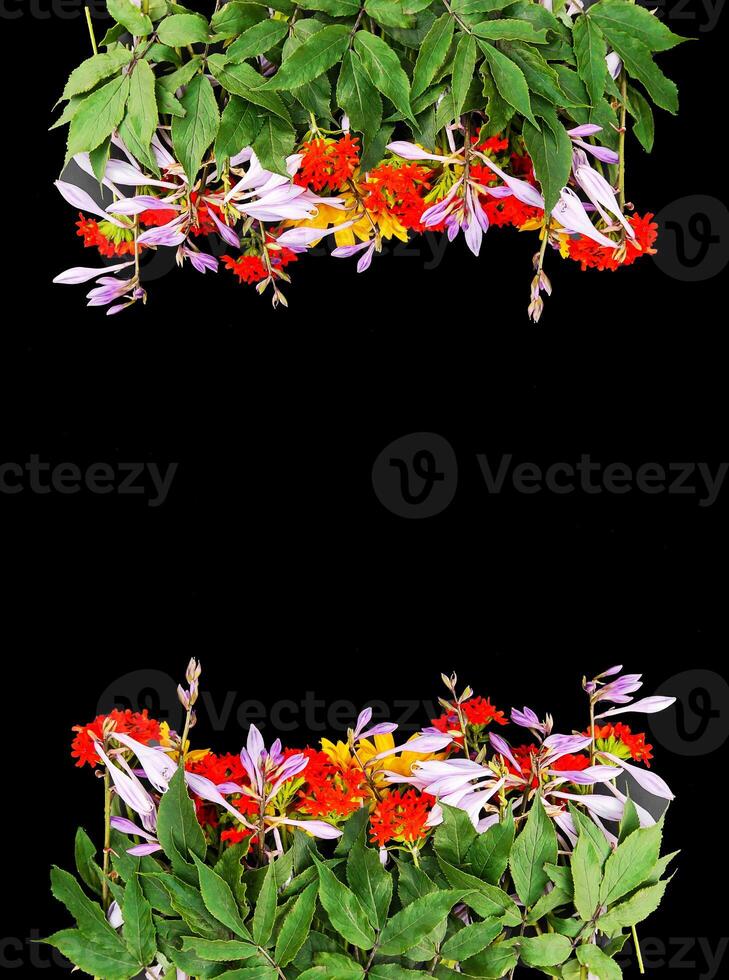 Frame of fresh bright summer flowers on black background. Festive floral template. Greeting card design. Top view. photo