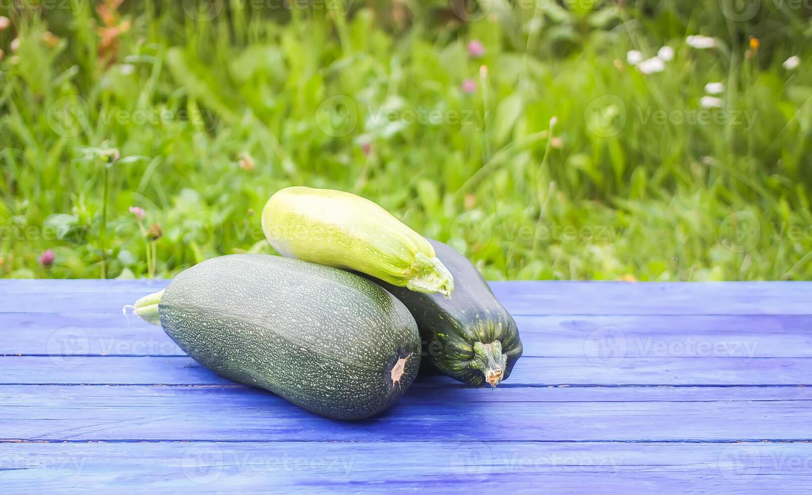 Zucchini on wooden boards outdoors photo