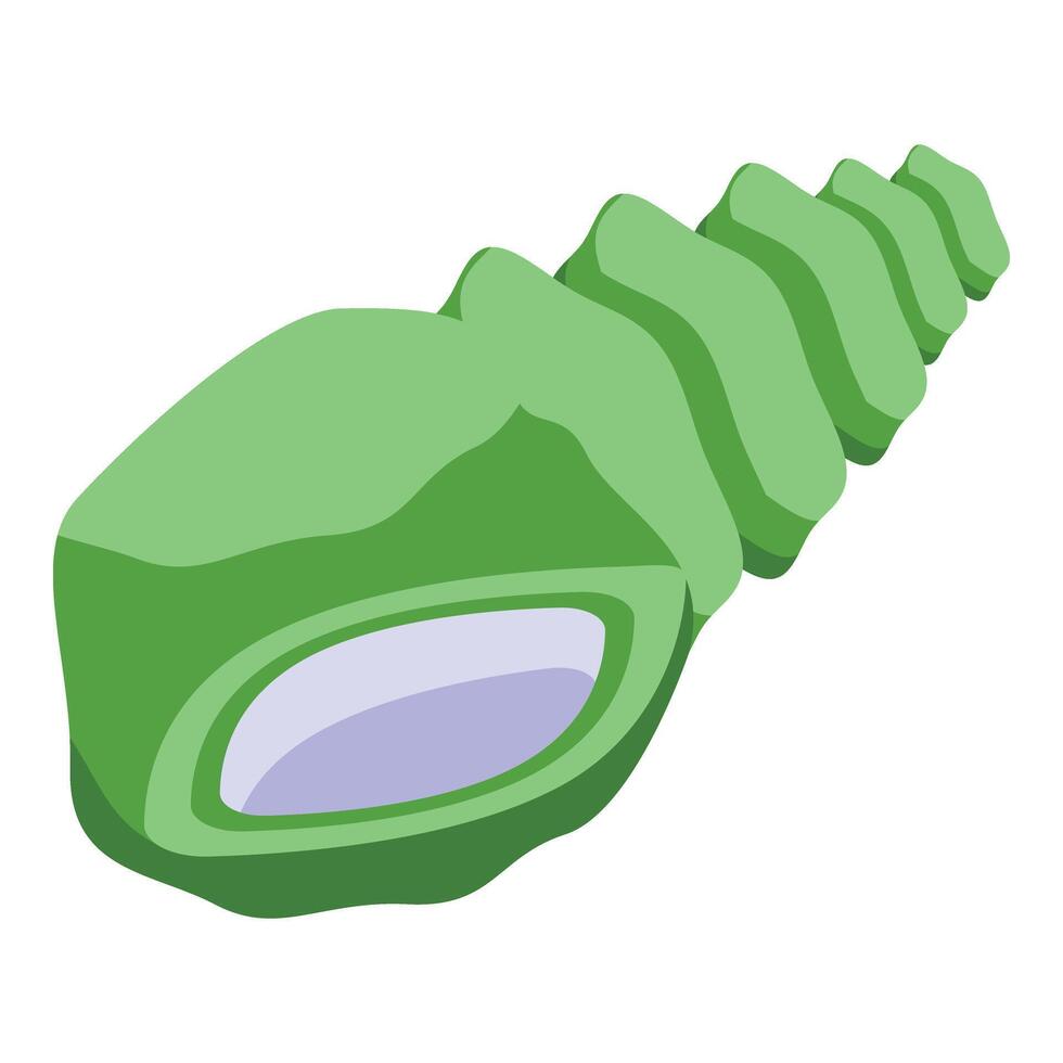 Green sea shell icon isometric . Marine element vector