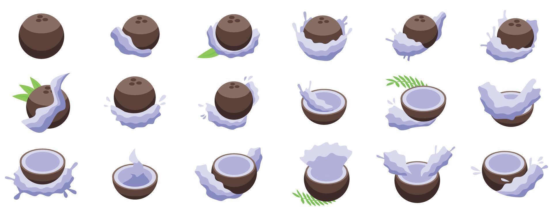 Coconut milk splash icons set isometric . Fresh cooking vector