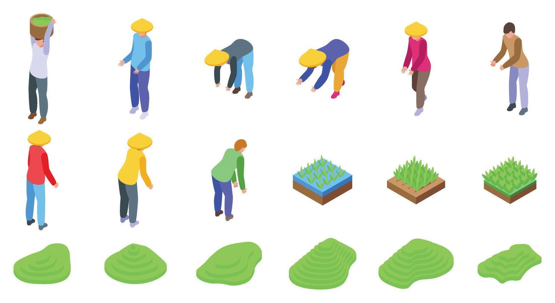 Green paddy terraces icons set isometric . Farm field vector