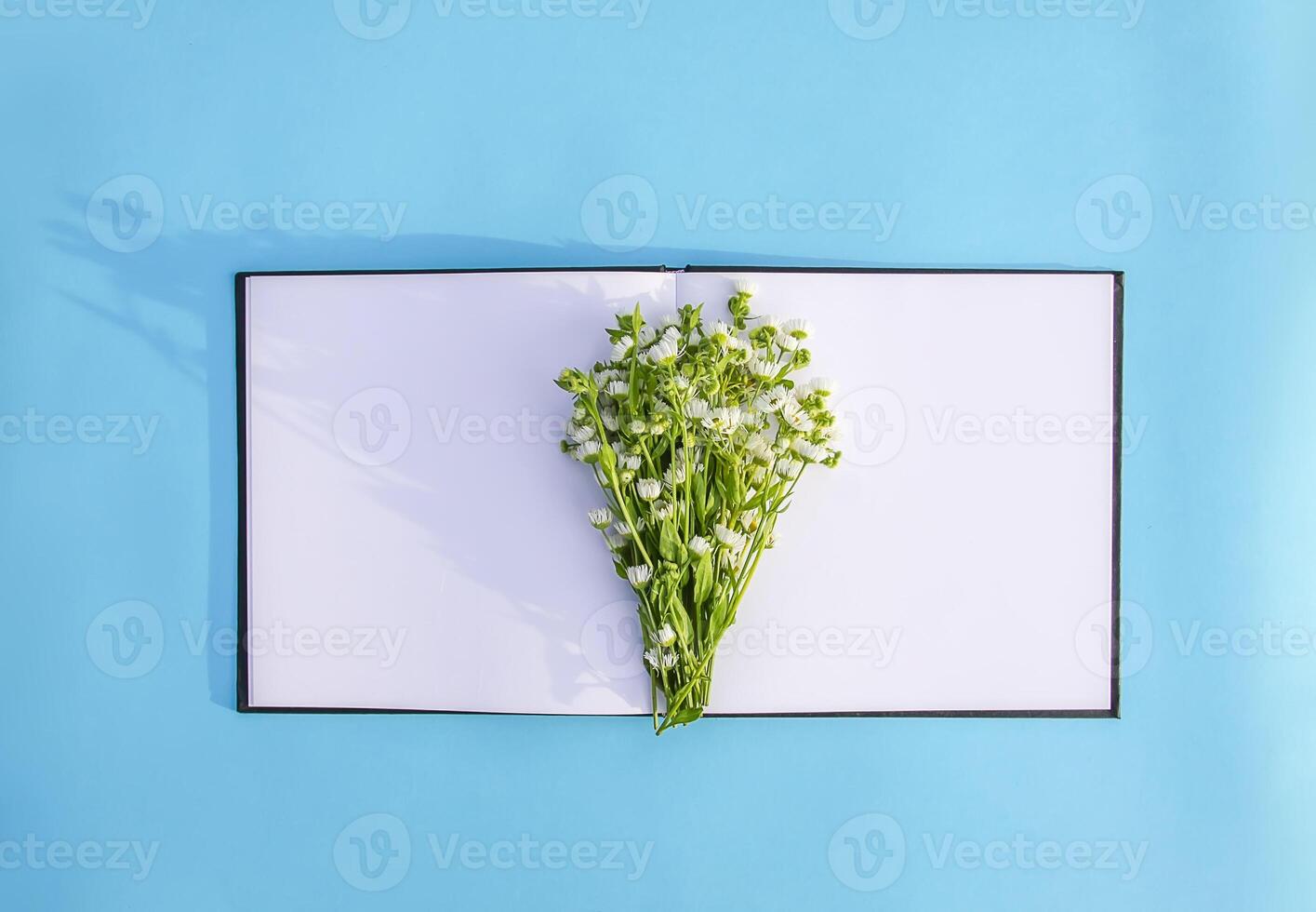 Chamomile white small garden flowers on opened empty notepad. Light blue background. photo