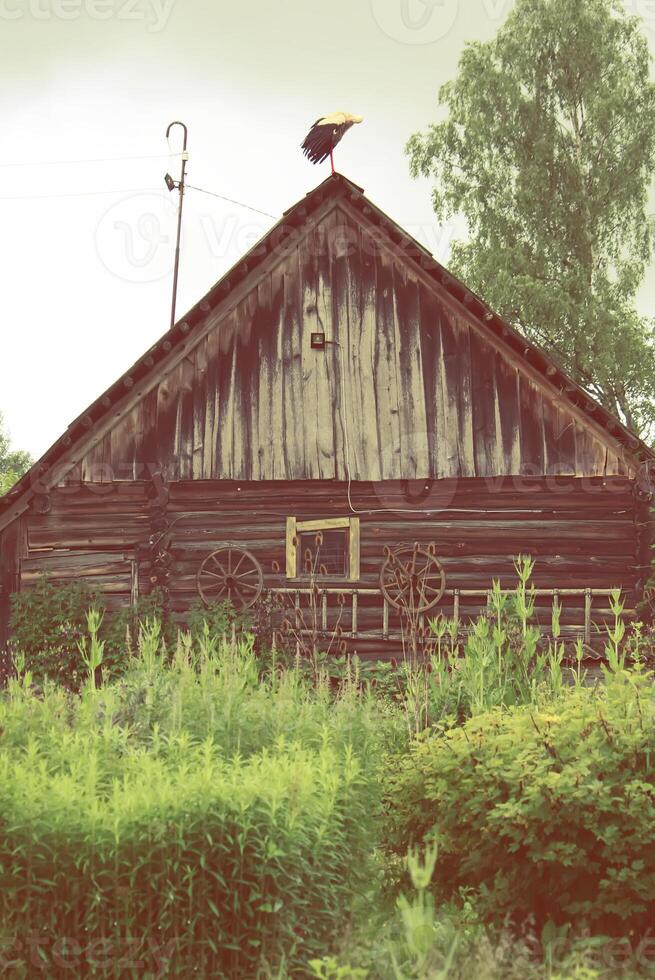 Scenic shot of the old barn buildings with stork on the roof. photo