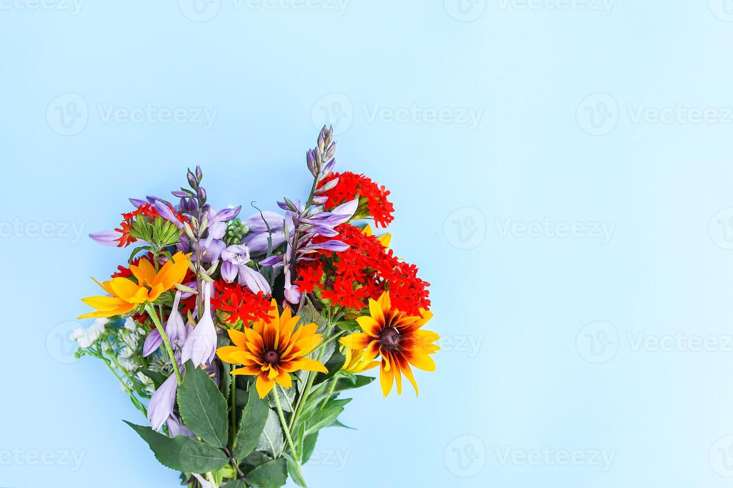 Small bouquet of garden flowers on light blue background. Purple decorative campanula, lychnis and rudbeckia or black-eyed susan plants. Festive floral template. Greeting card design. Top view. photo