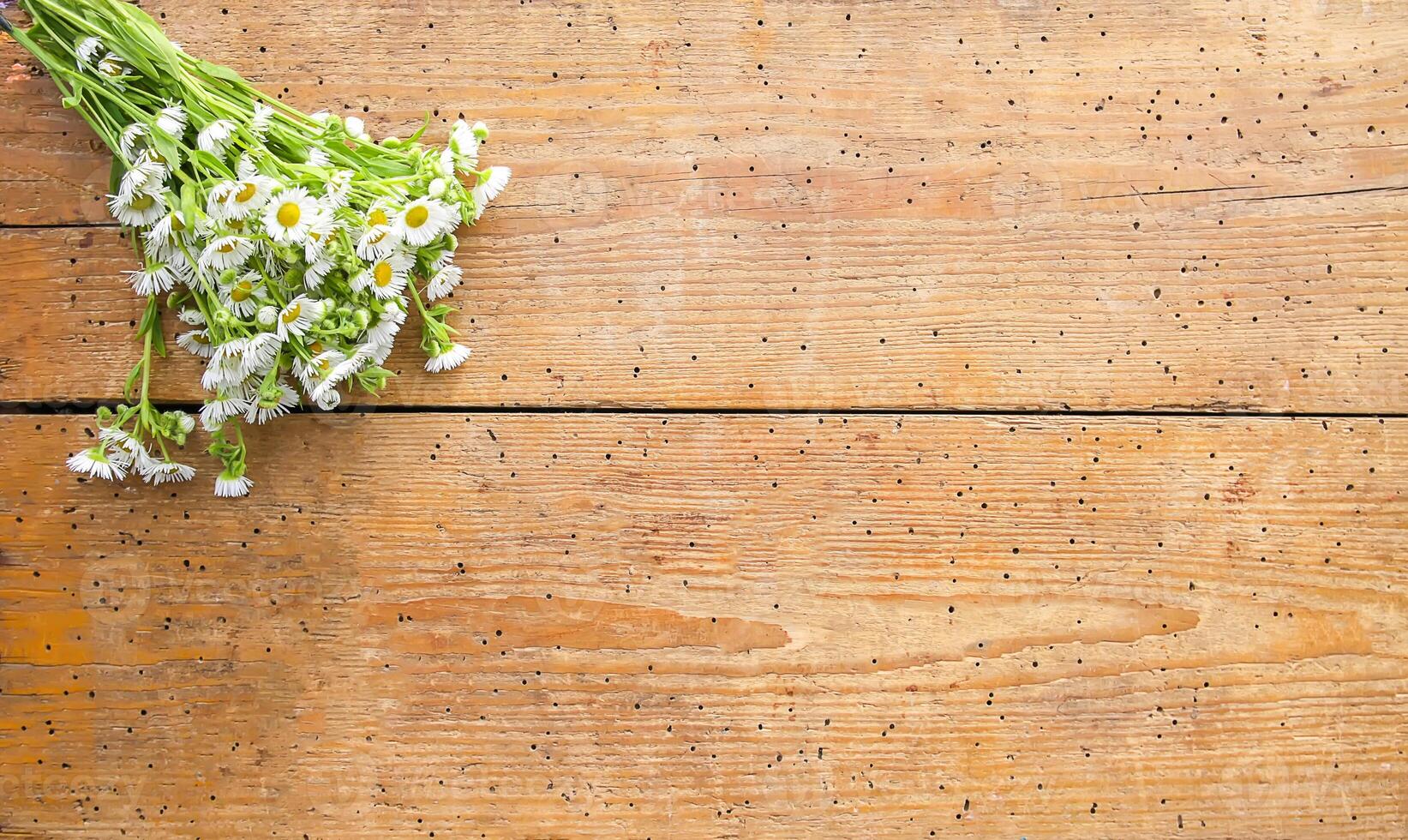 White garden small chamomile flowers on wooden background. Simple bouquet on old boards texture. photo