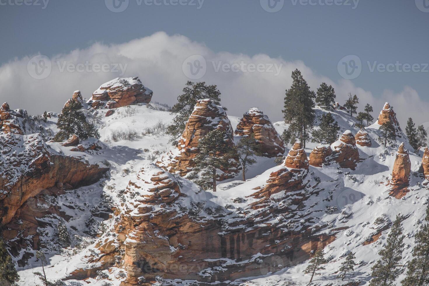 Zion Winter Snow photo