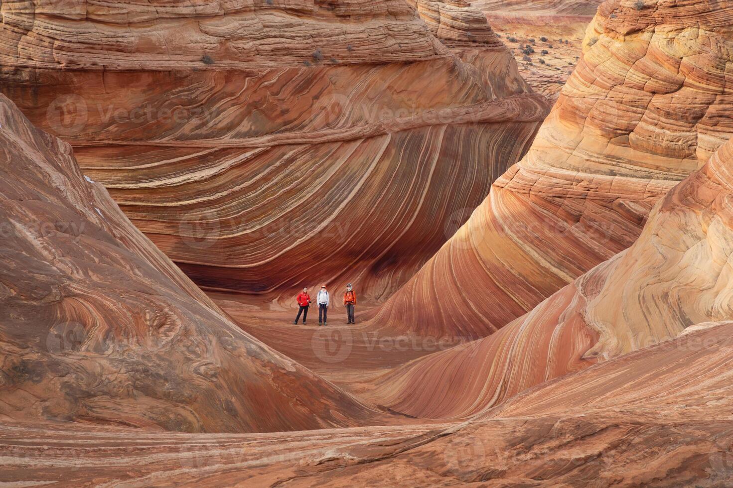 The Wave Vermilion Cliffs photo