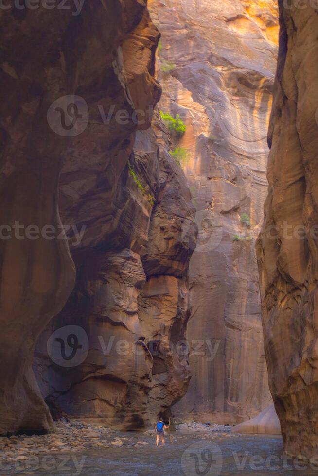 Zion National Park Narrows photo