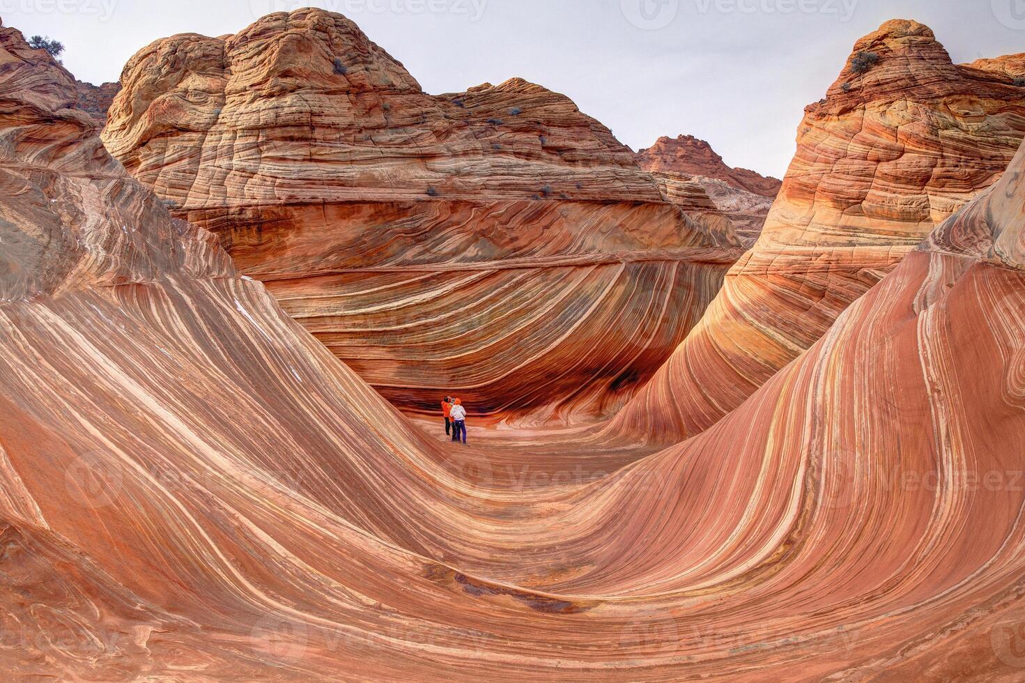 The Wave Vermilion Cliffs photo