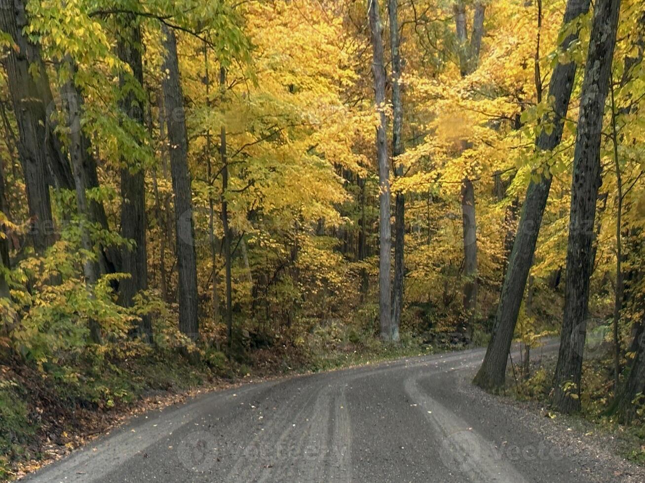 Vermont Fall Colors photo