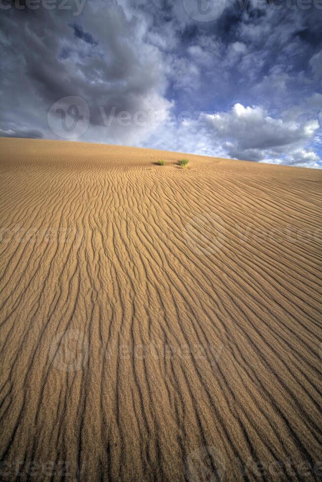 Verticle Sand Dunes photo