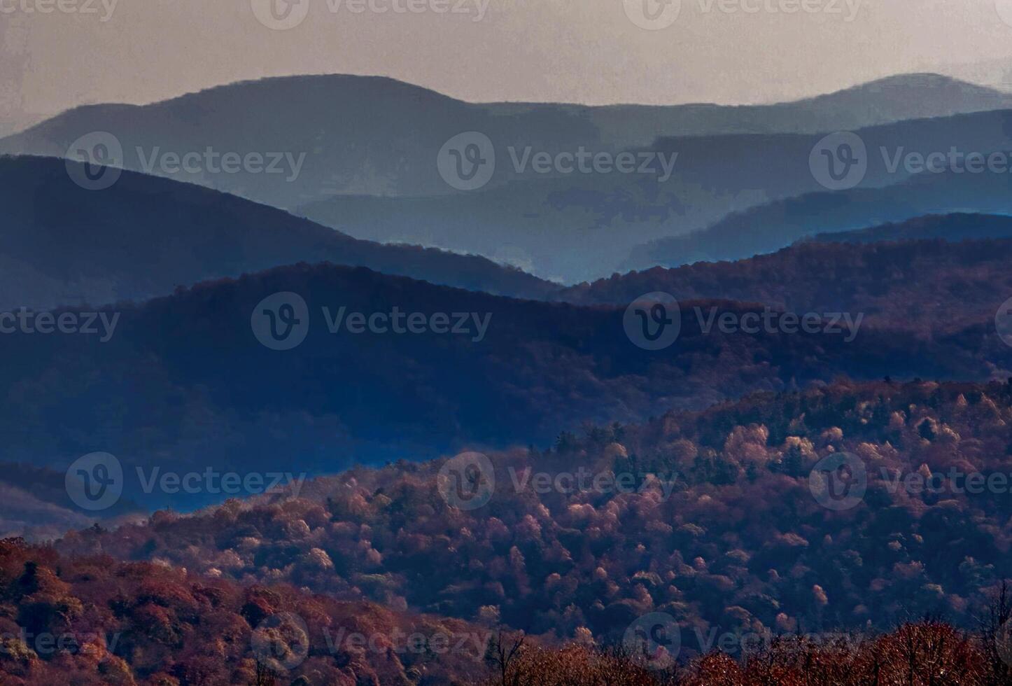 otoño en Virginia foto