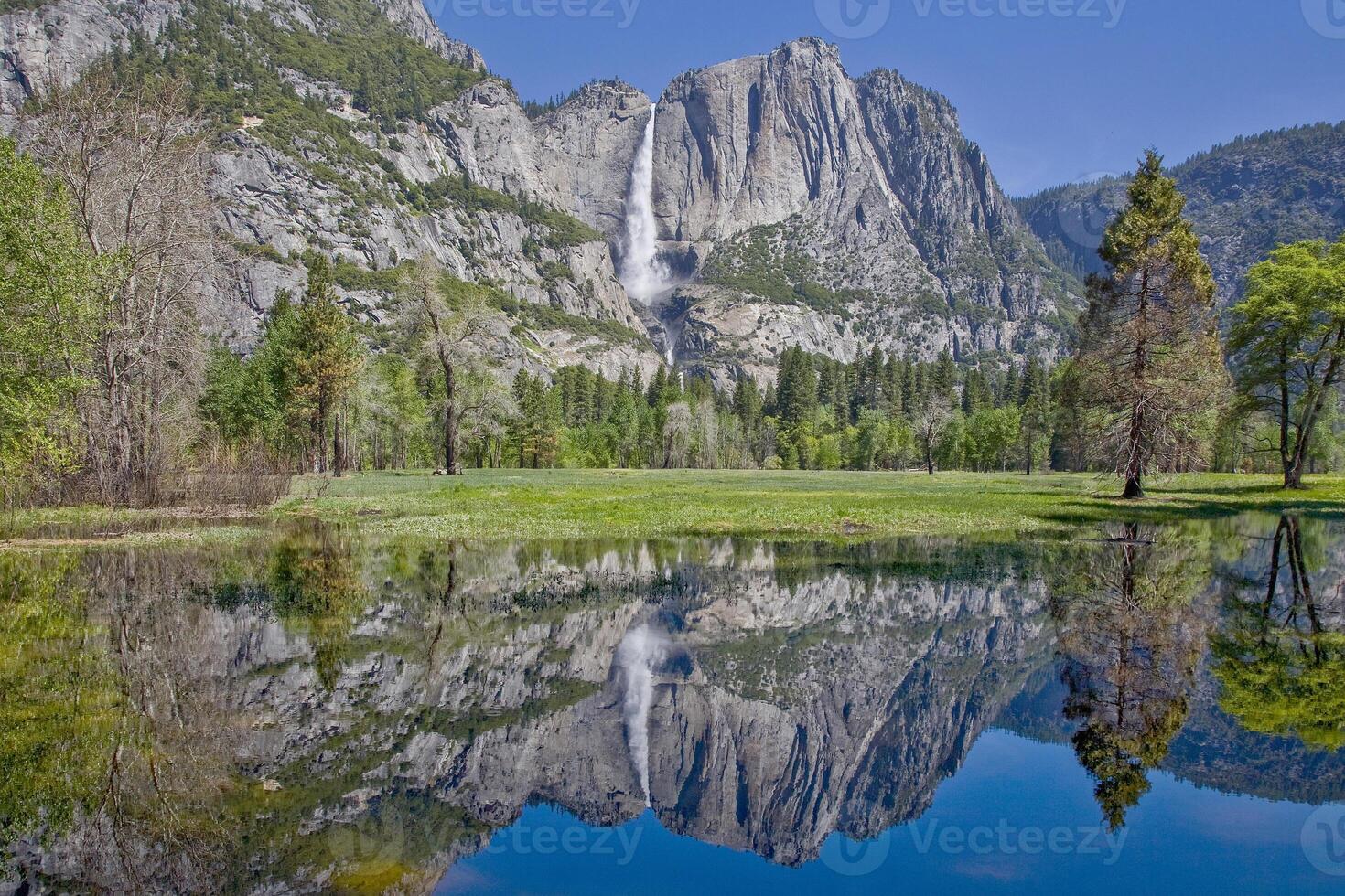 Yosemite Falls National Park photo