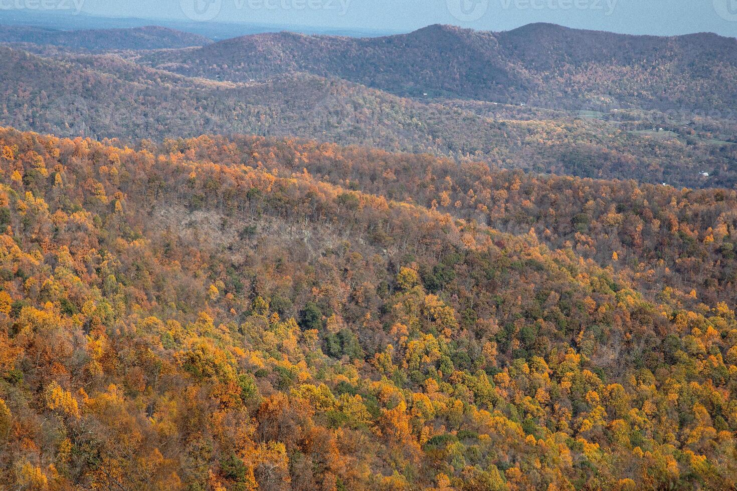 otoño en Virginia foto