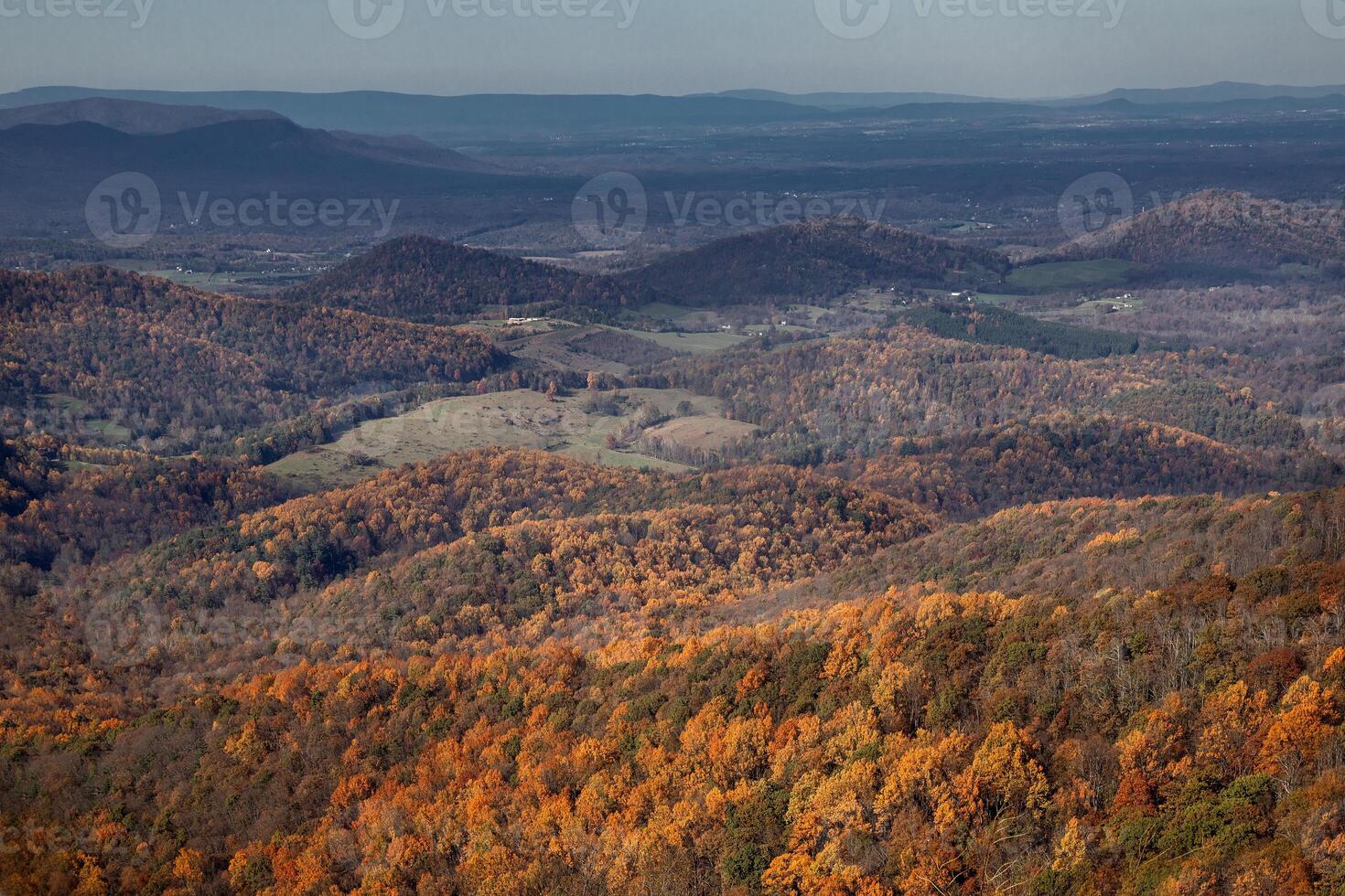 Fall In Virginia photo