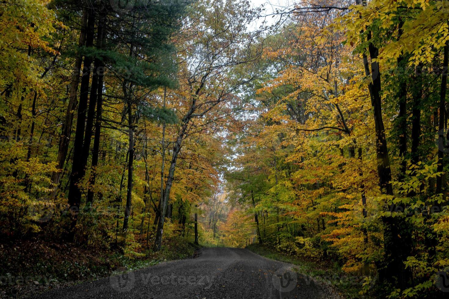 Vermont Fall Colors photo