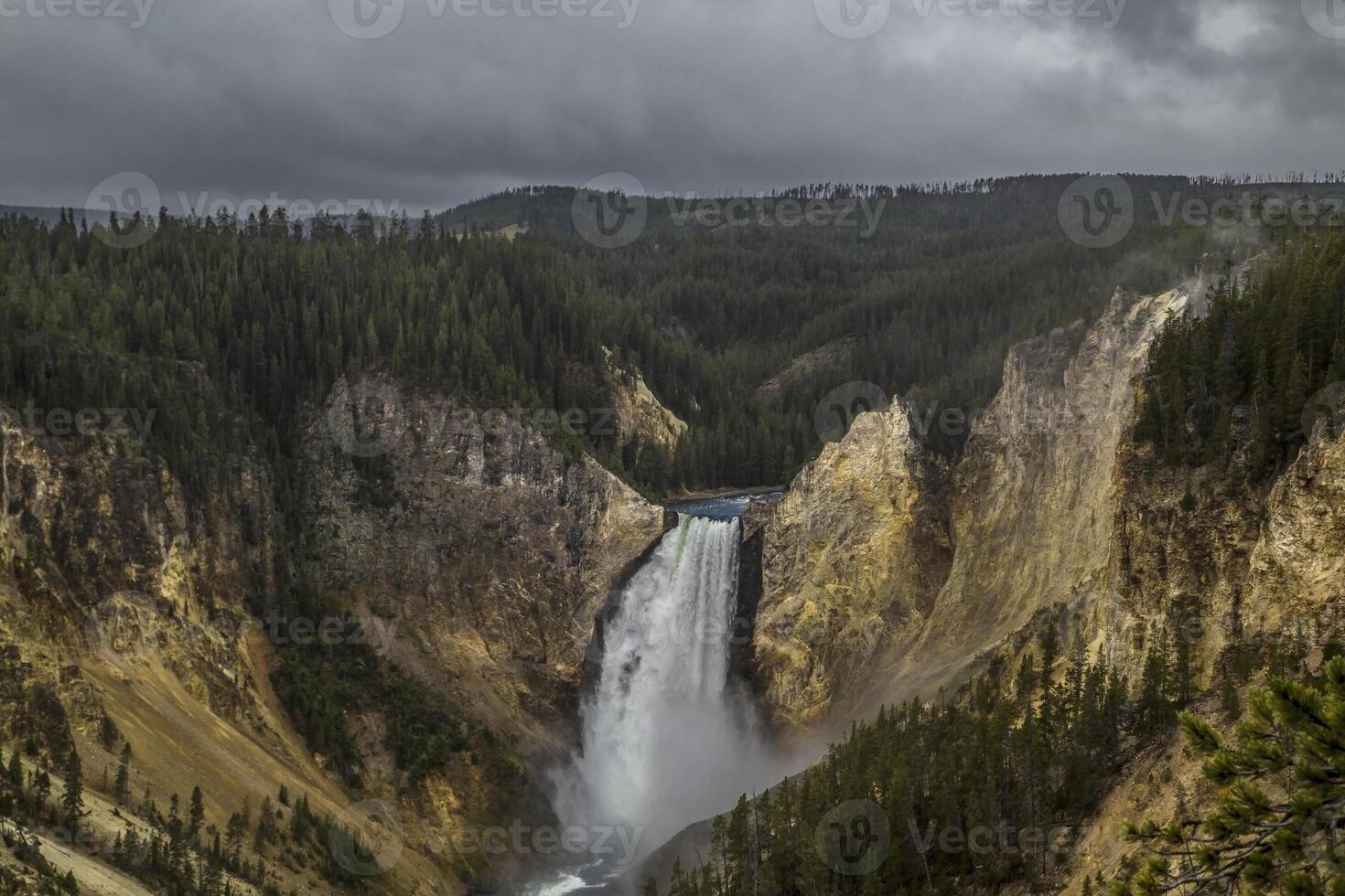 Yellowstone's Lower Falls photo