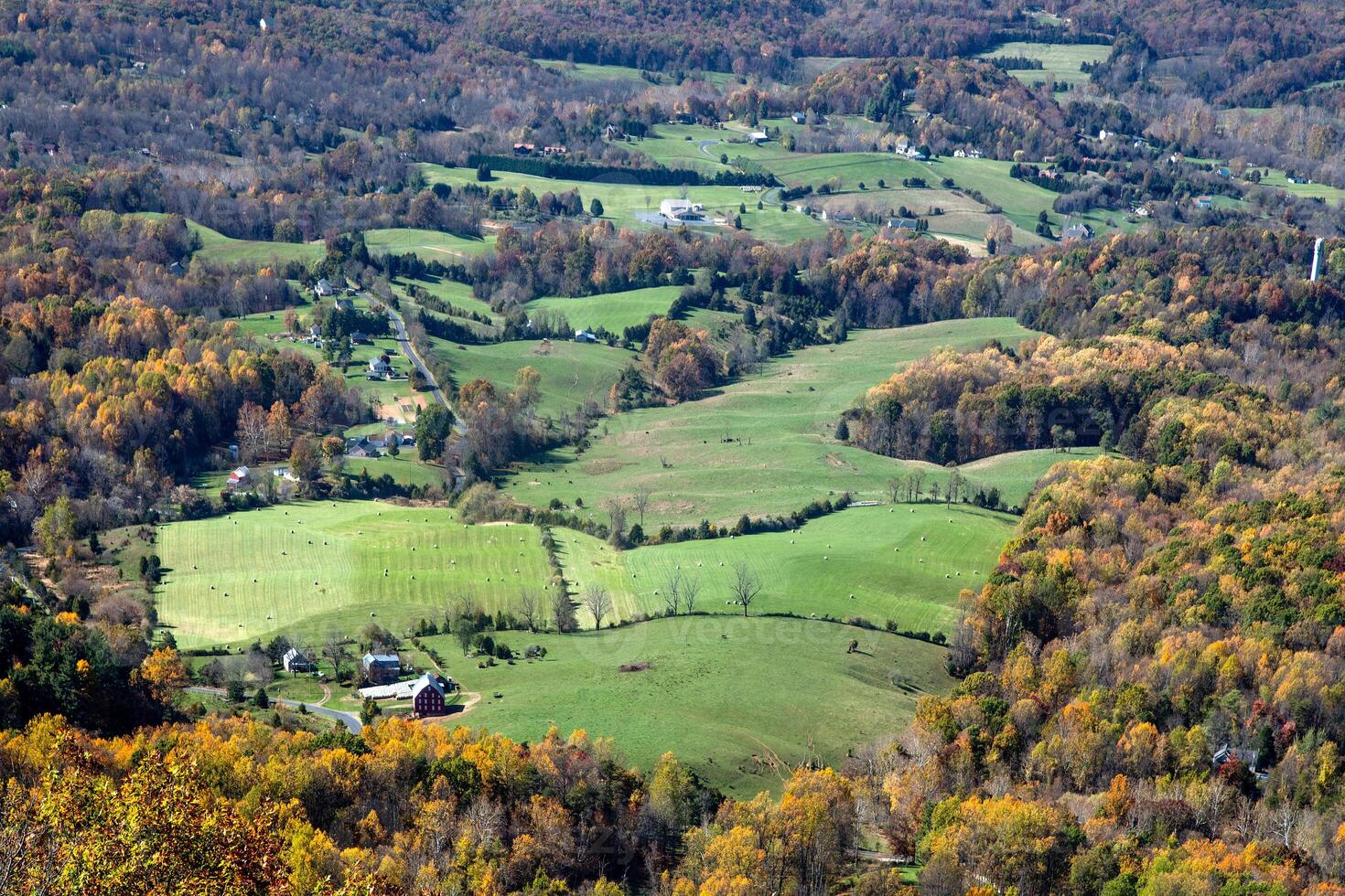 otoño en Virginia foto