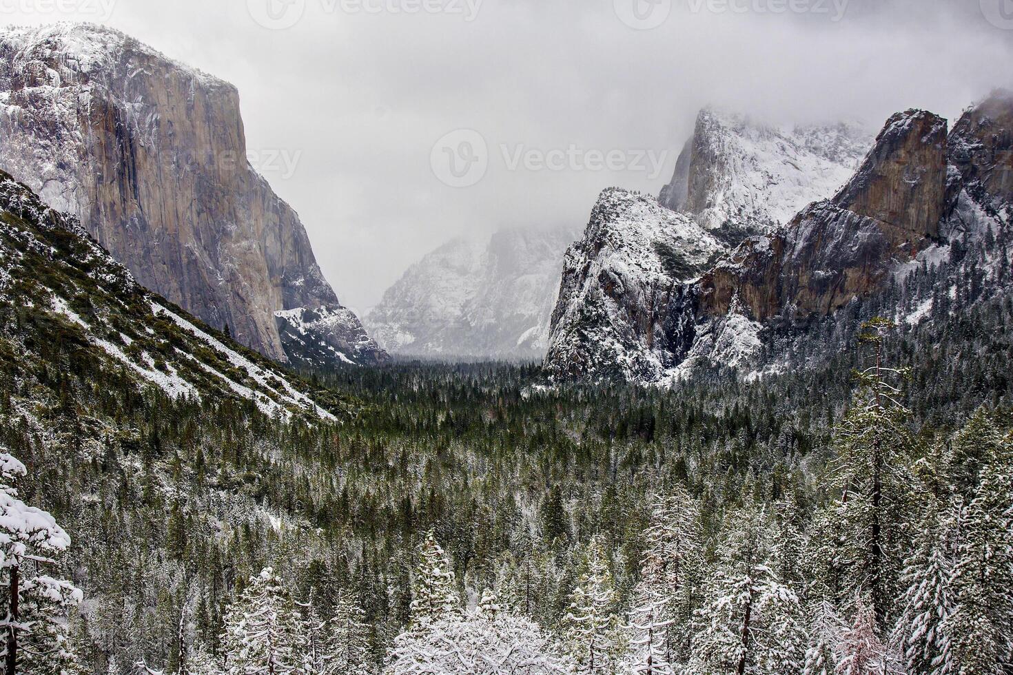 Yosemite Valley Snow photo