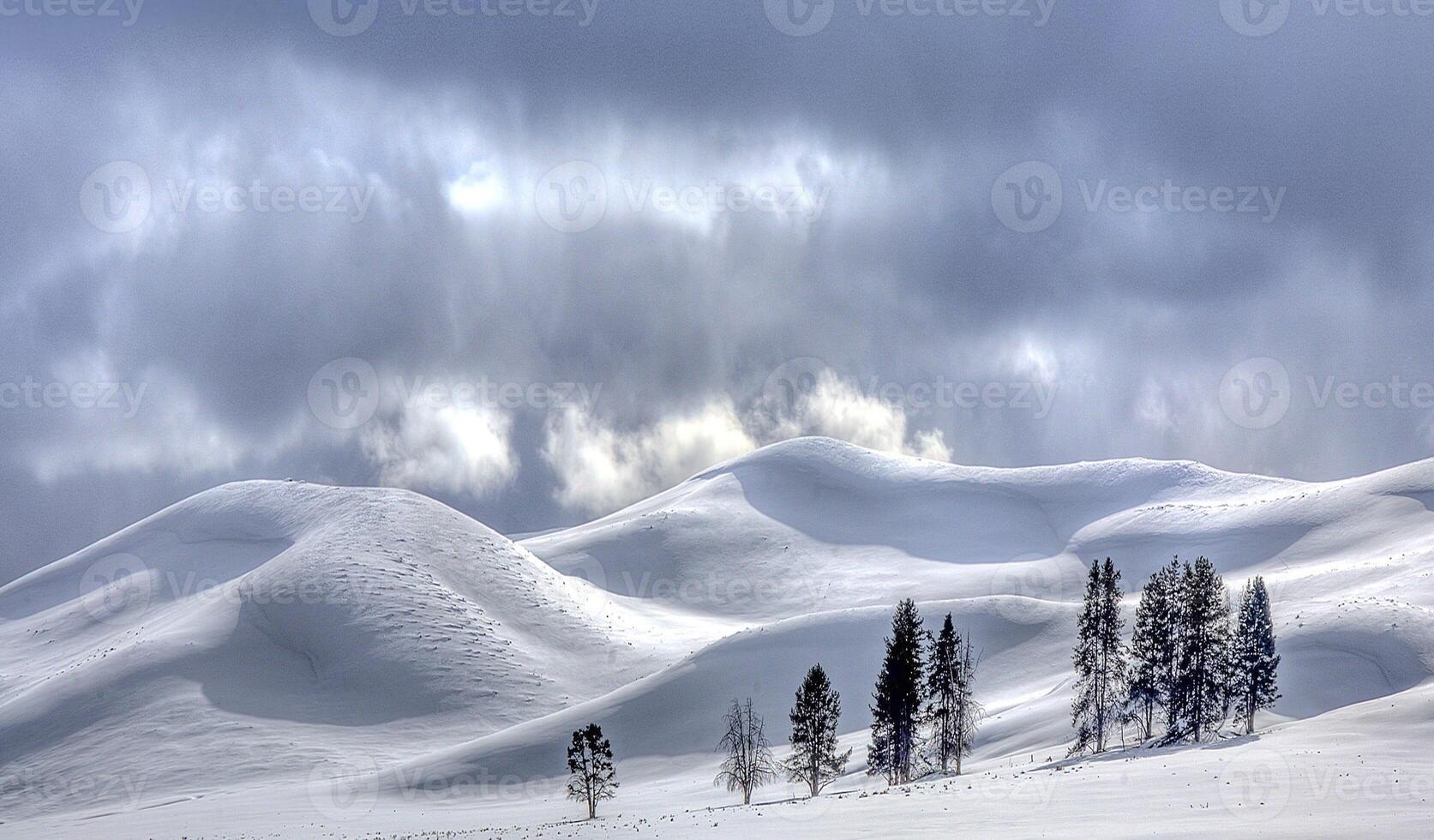 HAYDEN VALLEY WINTER photo