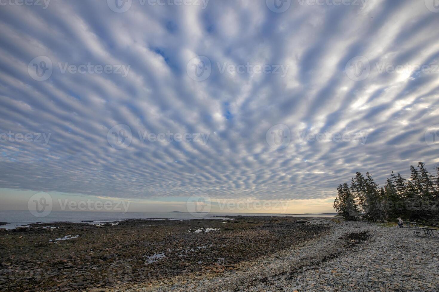 Maine Acadia Seawall 1023 photo
