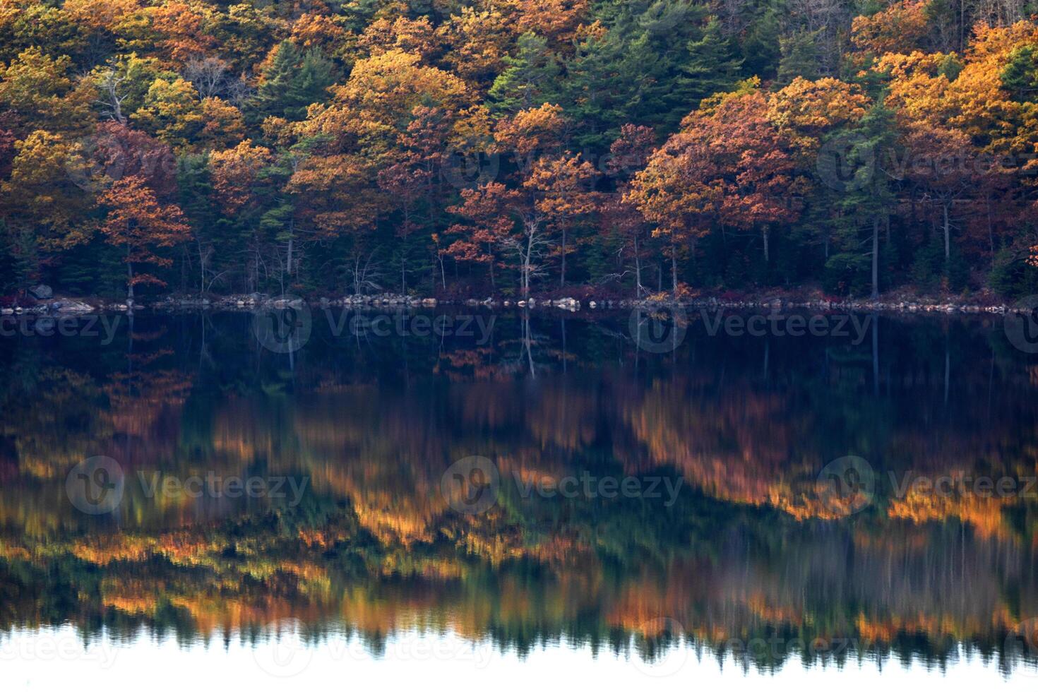 Fall In Acadia photo