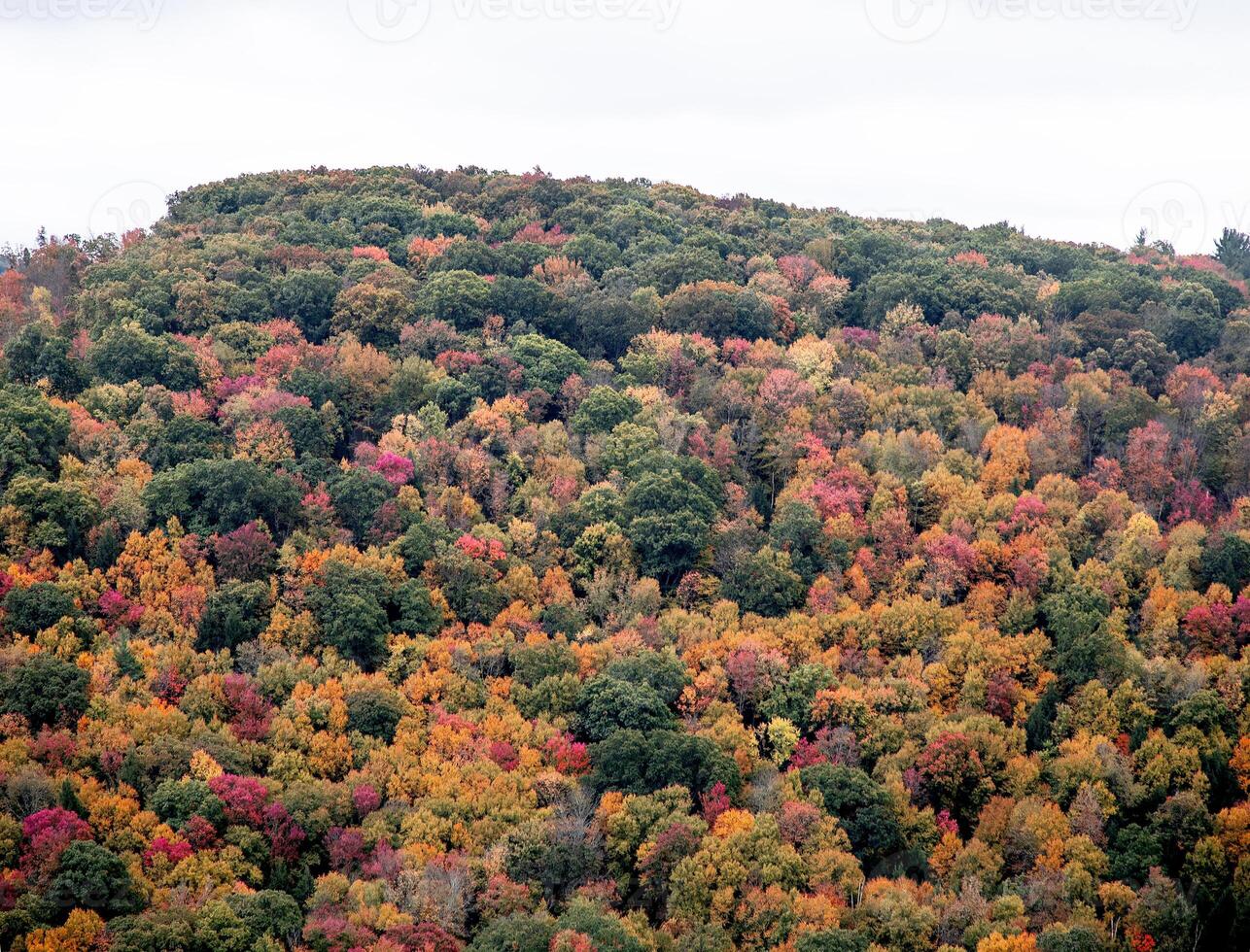 Pennsylvania Fall Colors photo