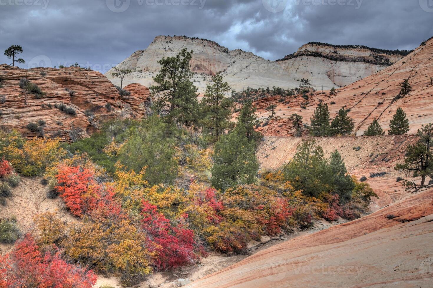 Zion Fall Colors photo