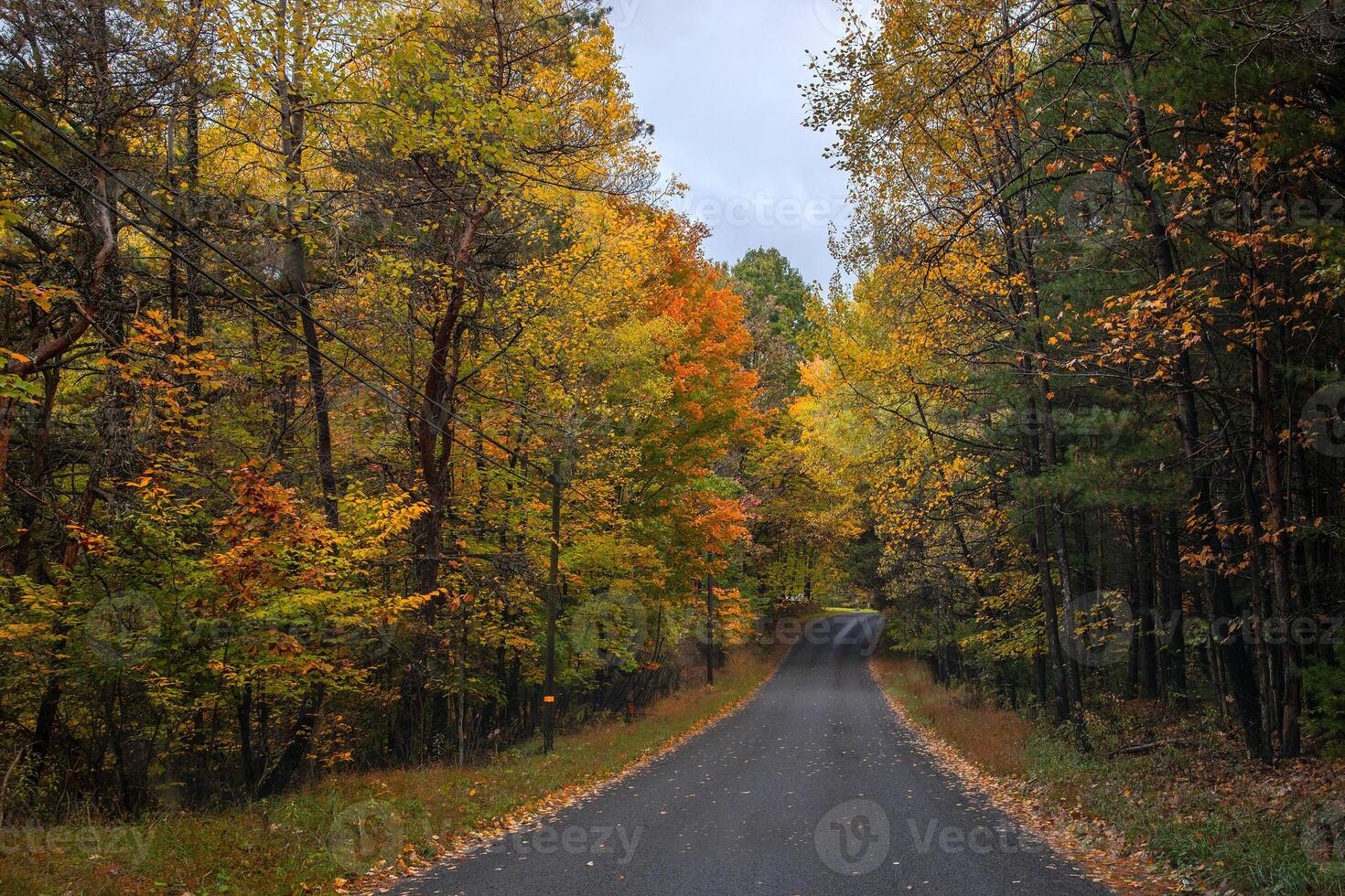 Pennsylvania Fall Colors photo