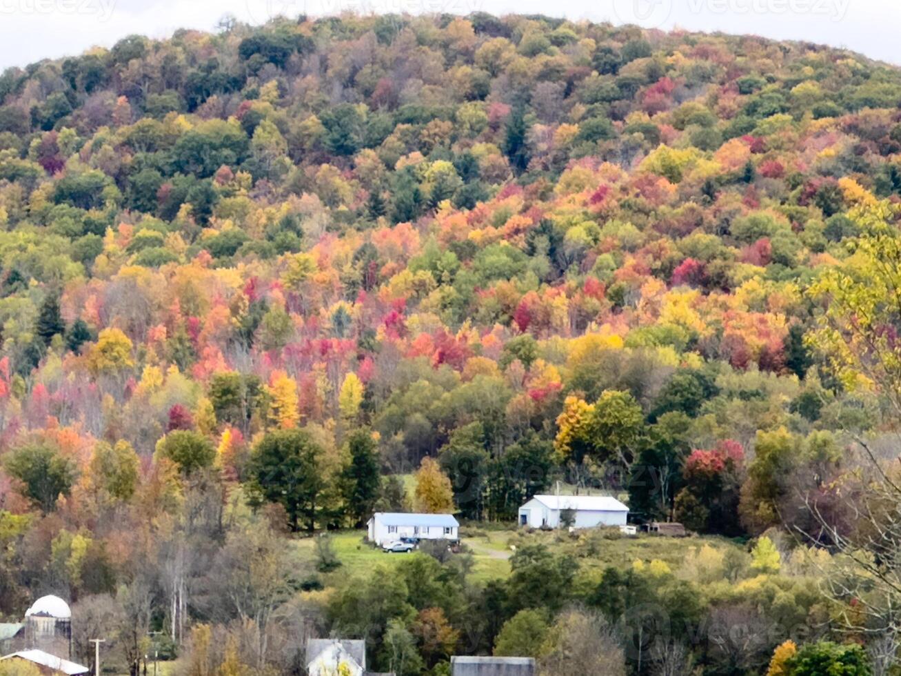 Fall In Rural New York photo