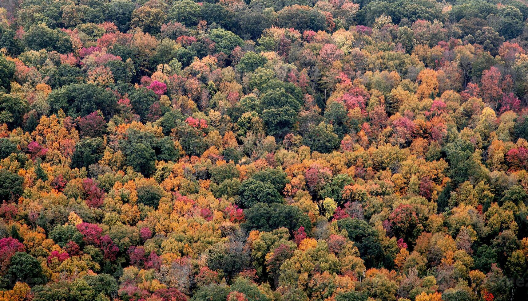 Pennsylvania Fall Colors photo