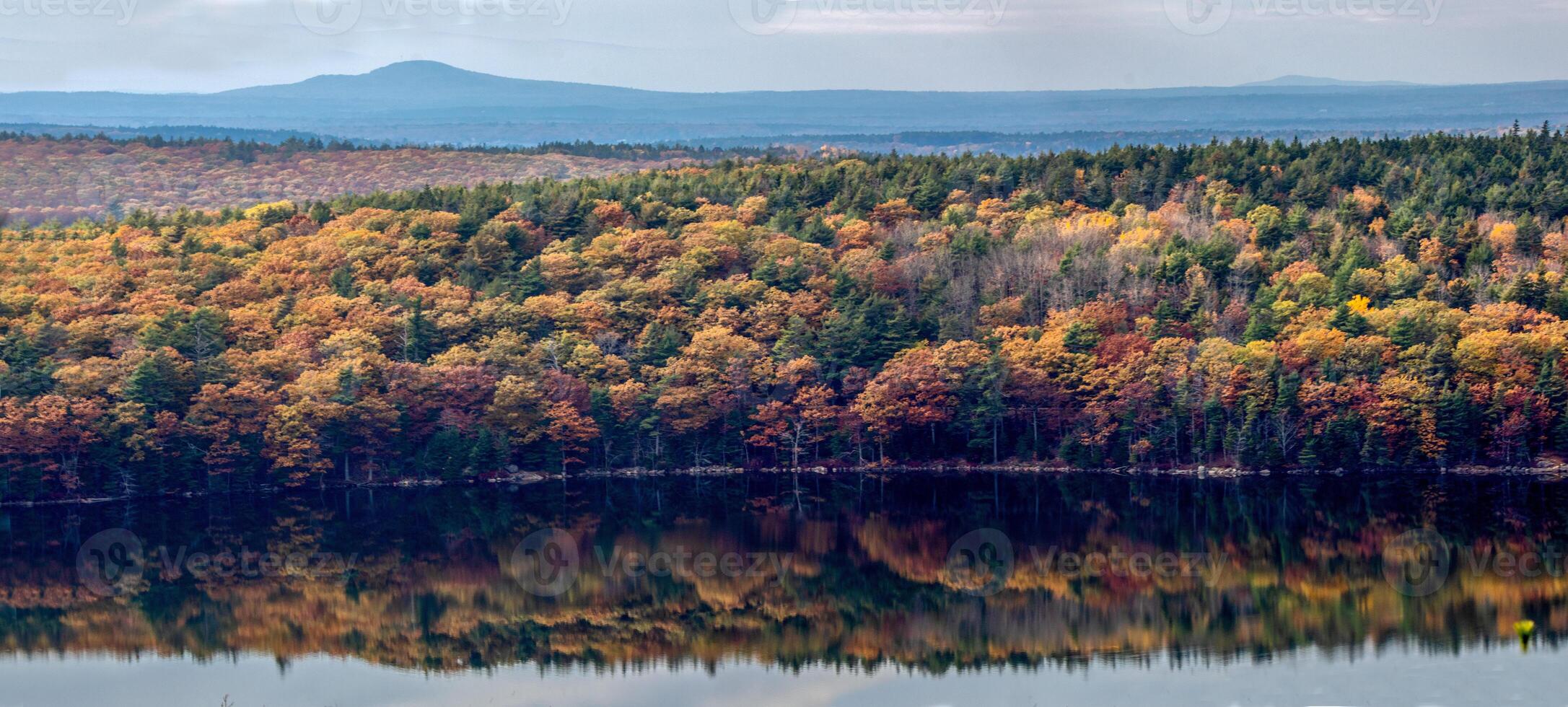 Fall In Acadia photo