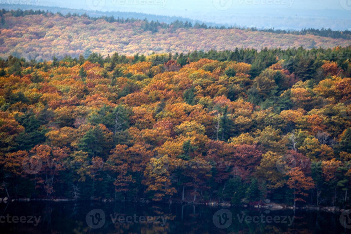Fall In Acadia photo