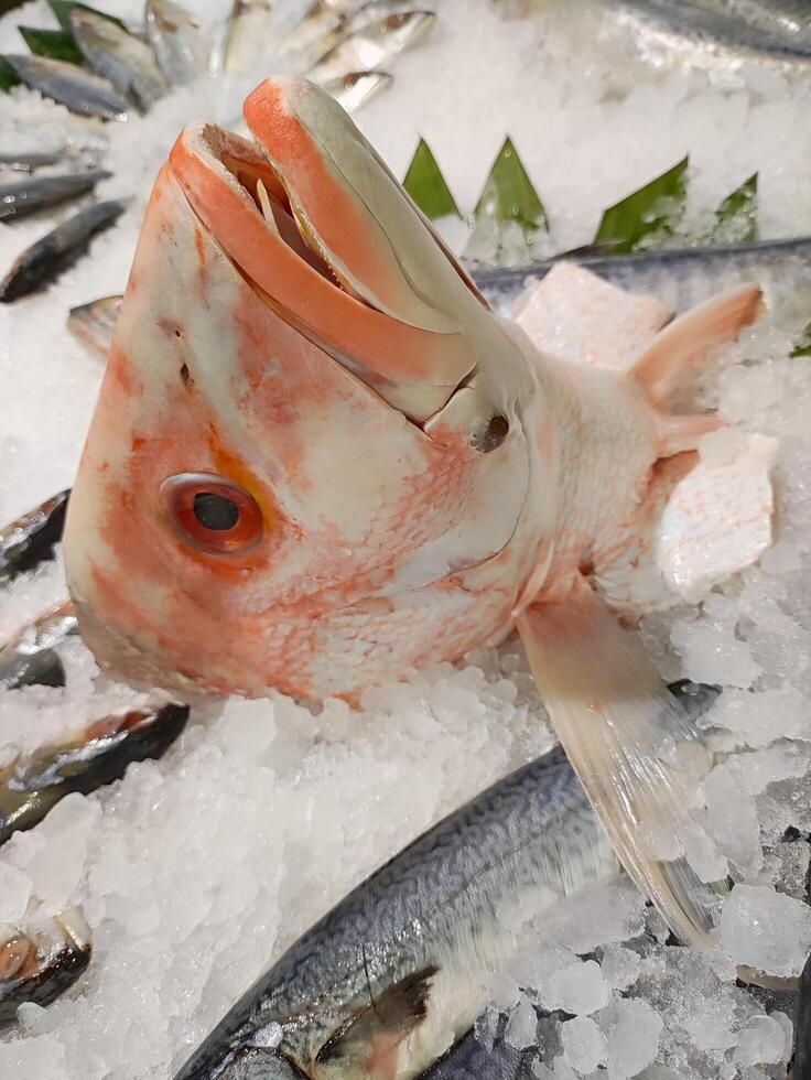 head of big fish for sale at market photo