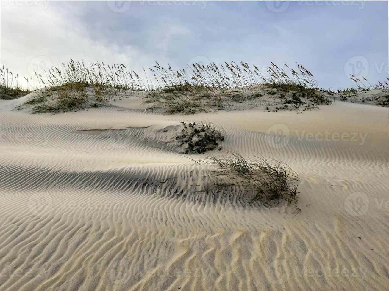 Cape Hatteras Beach photo