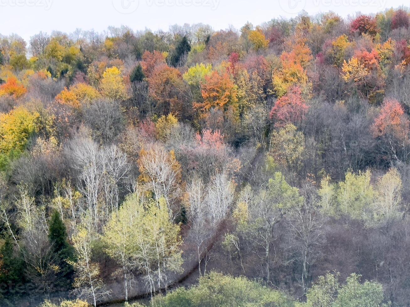 otoño en rural nuevo York foto