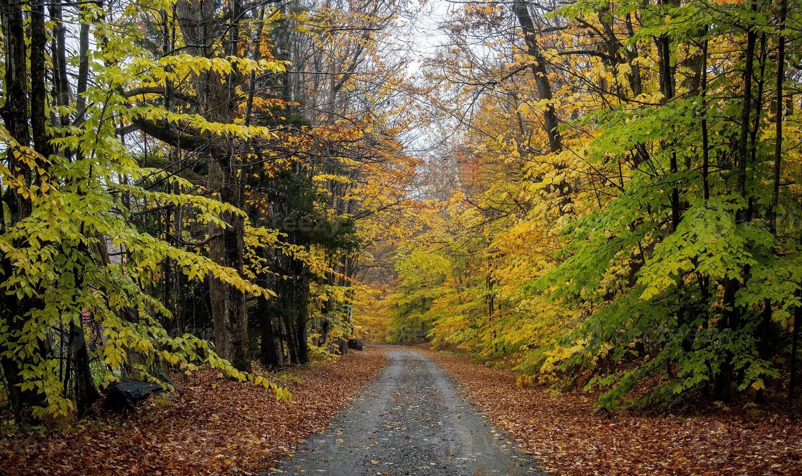 New Hampshire Fall Colors photo