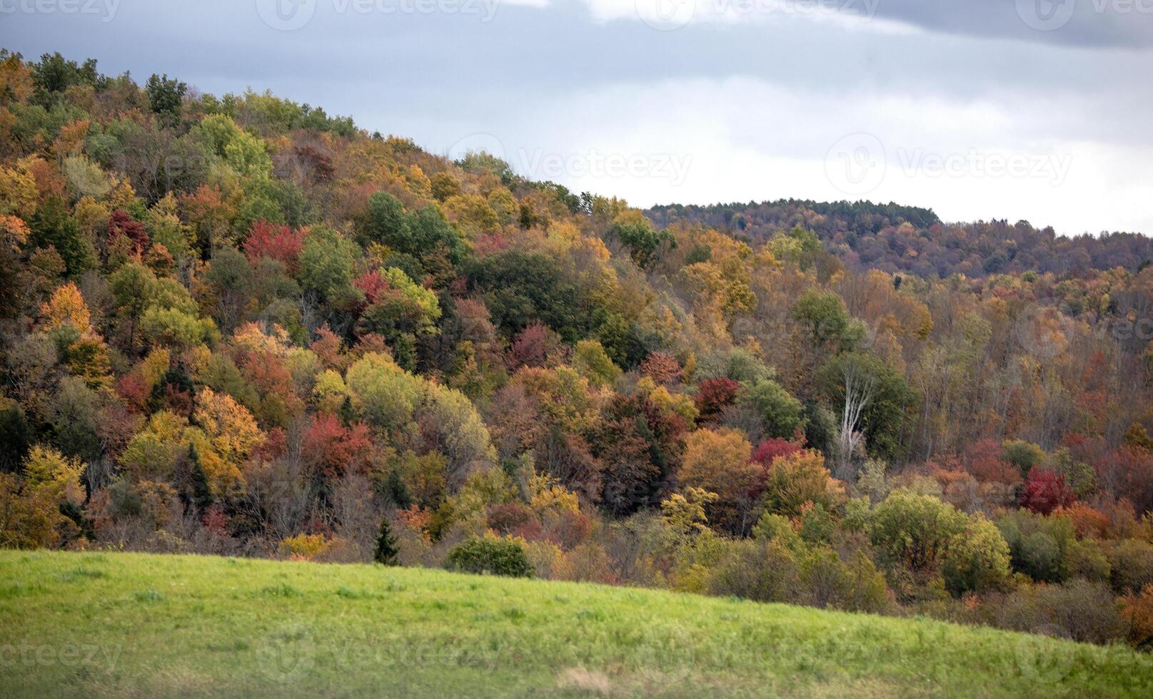 Pennsylvania Fall Colors photo