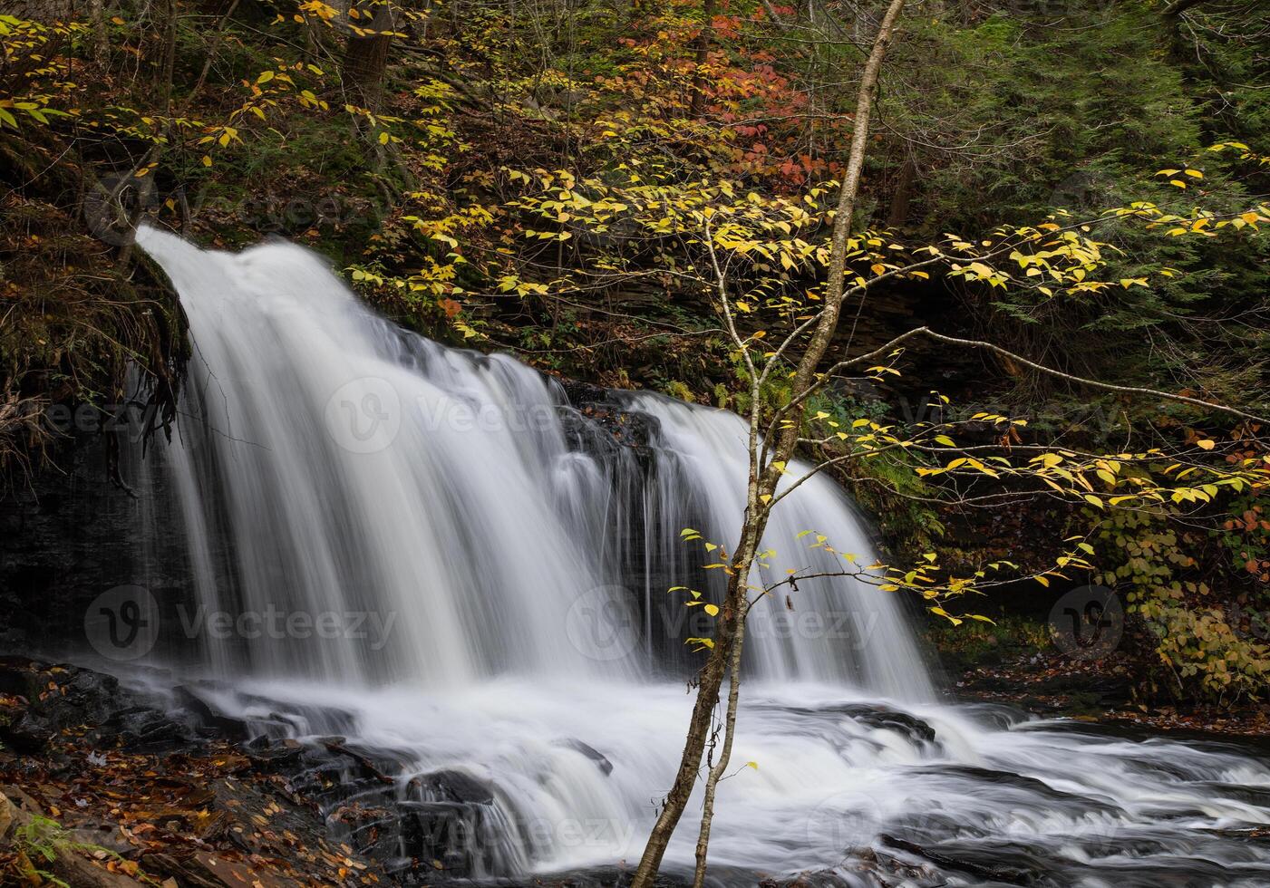 Ricketts Glen State Park photo