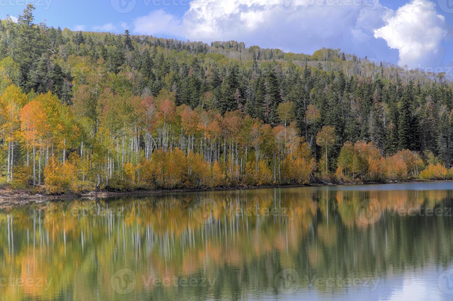 Kolob Reservoir Reflection photo