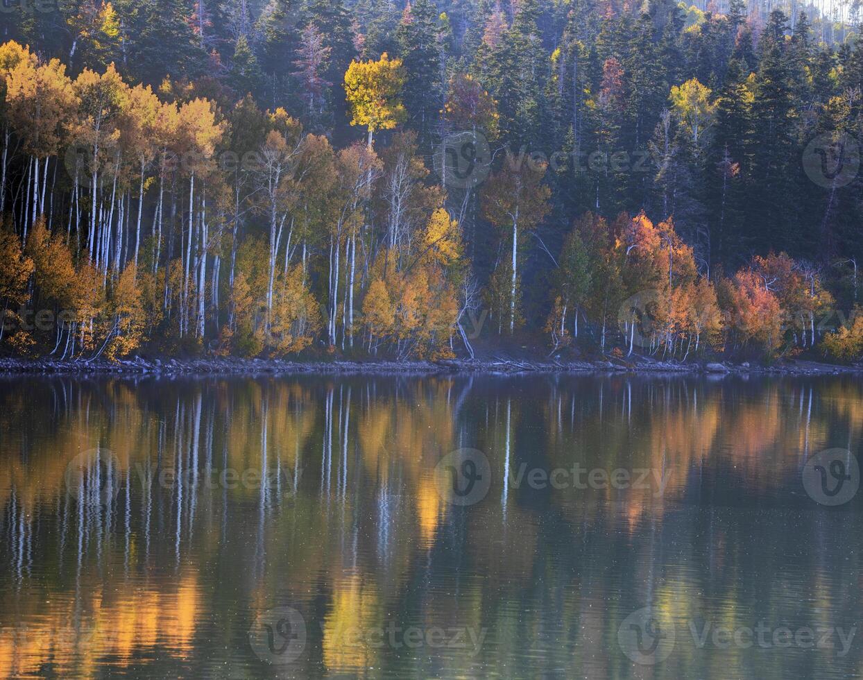 Kolob Reservoir Reflection photo