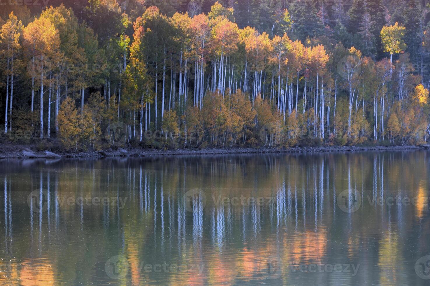 Kolob Reservoir Reflection photo