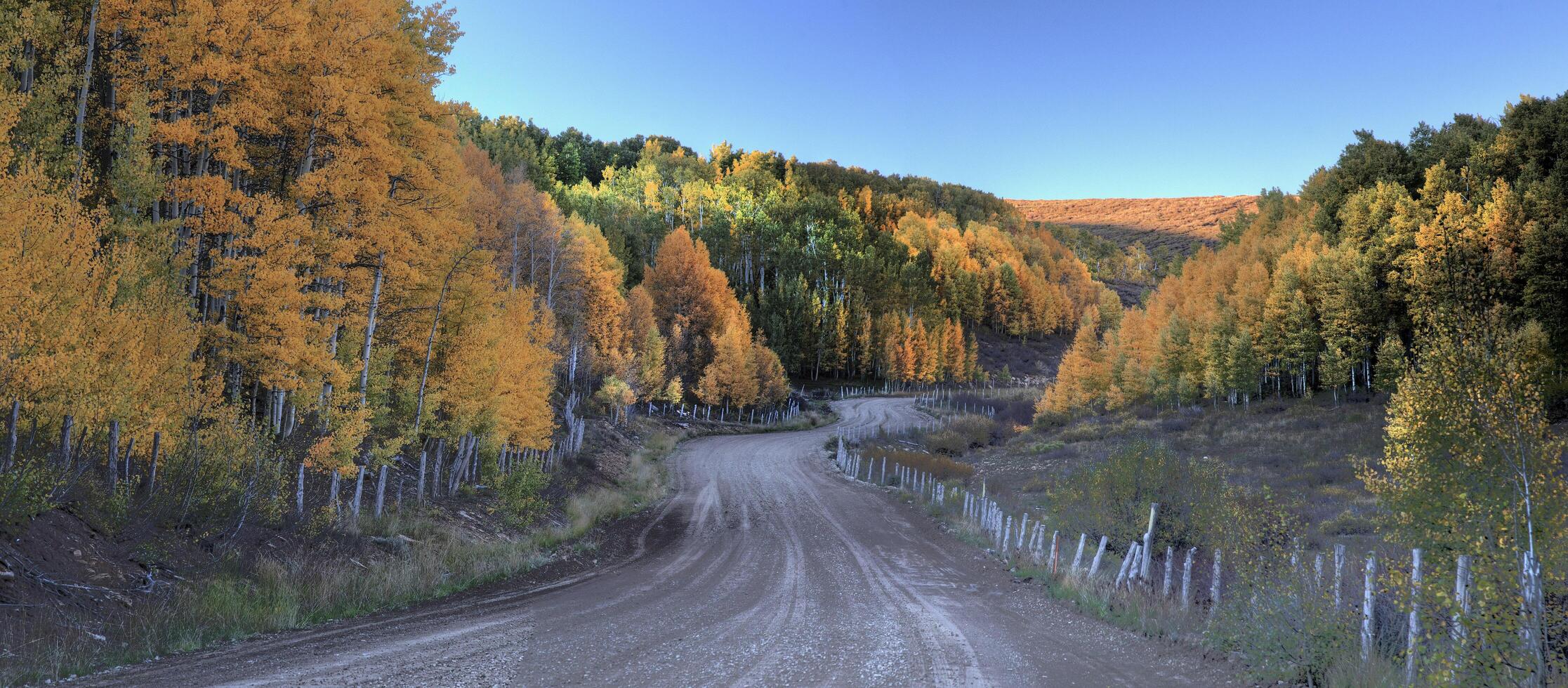 Kolob Autumn Colors photo