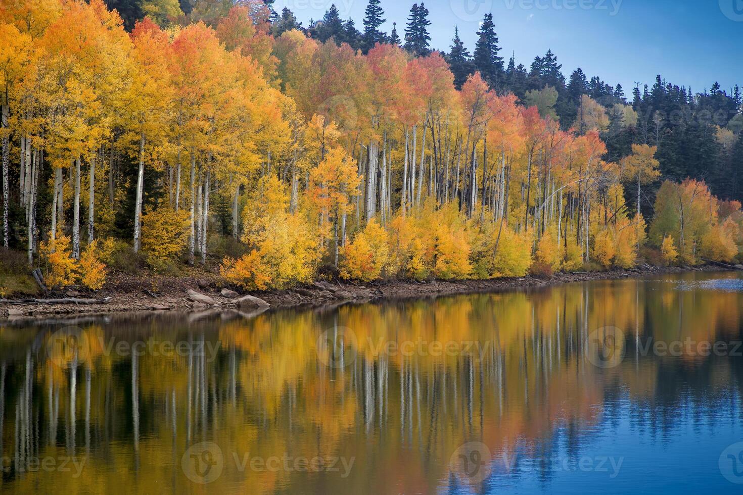 Kolob Reservoir Autumn Reflection photo