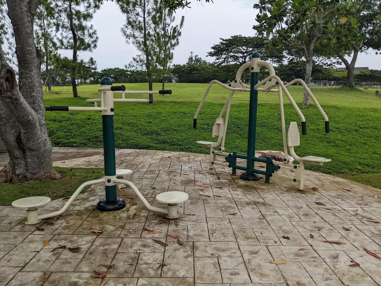 Workout arena on the green park. The photo is suitable to use for hobbies activity, leisure activity and park background.