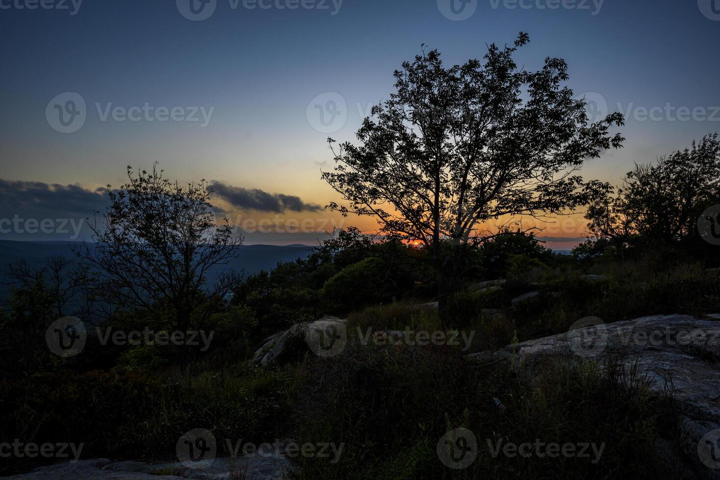 On the Bear Mountain photo