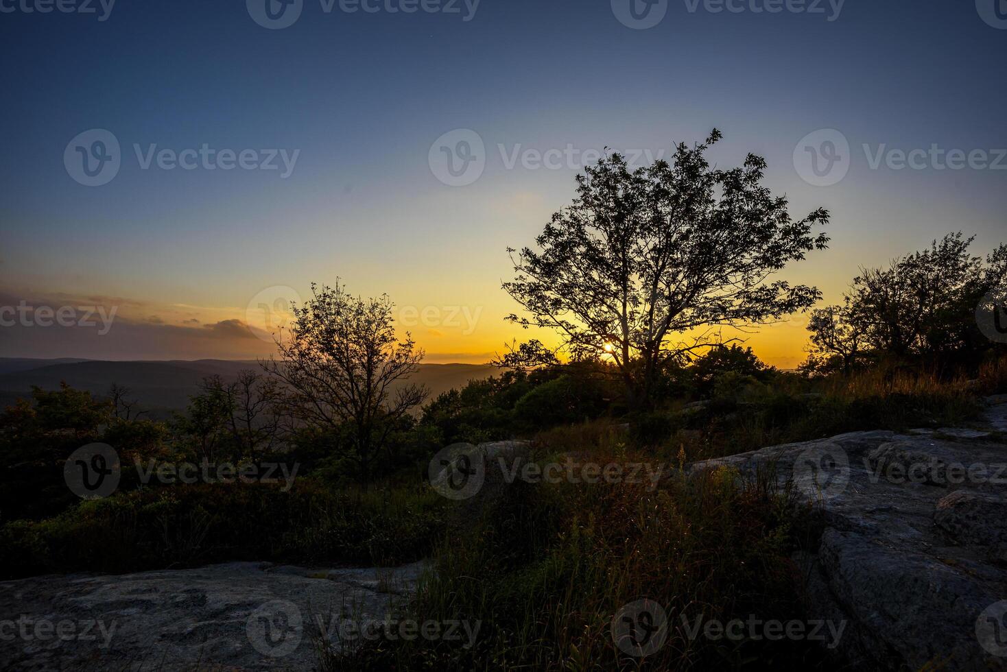 On the Bear Mountain photo