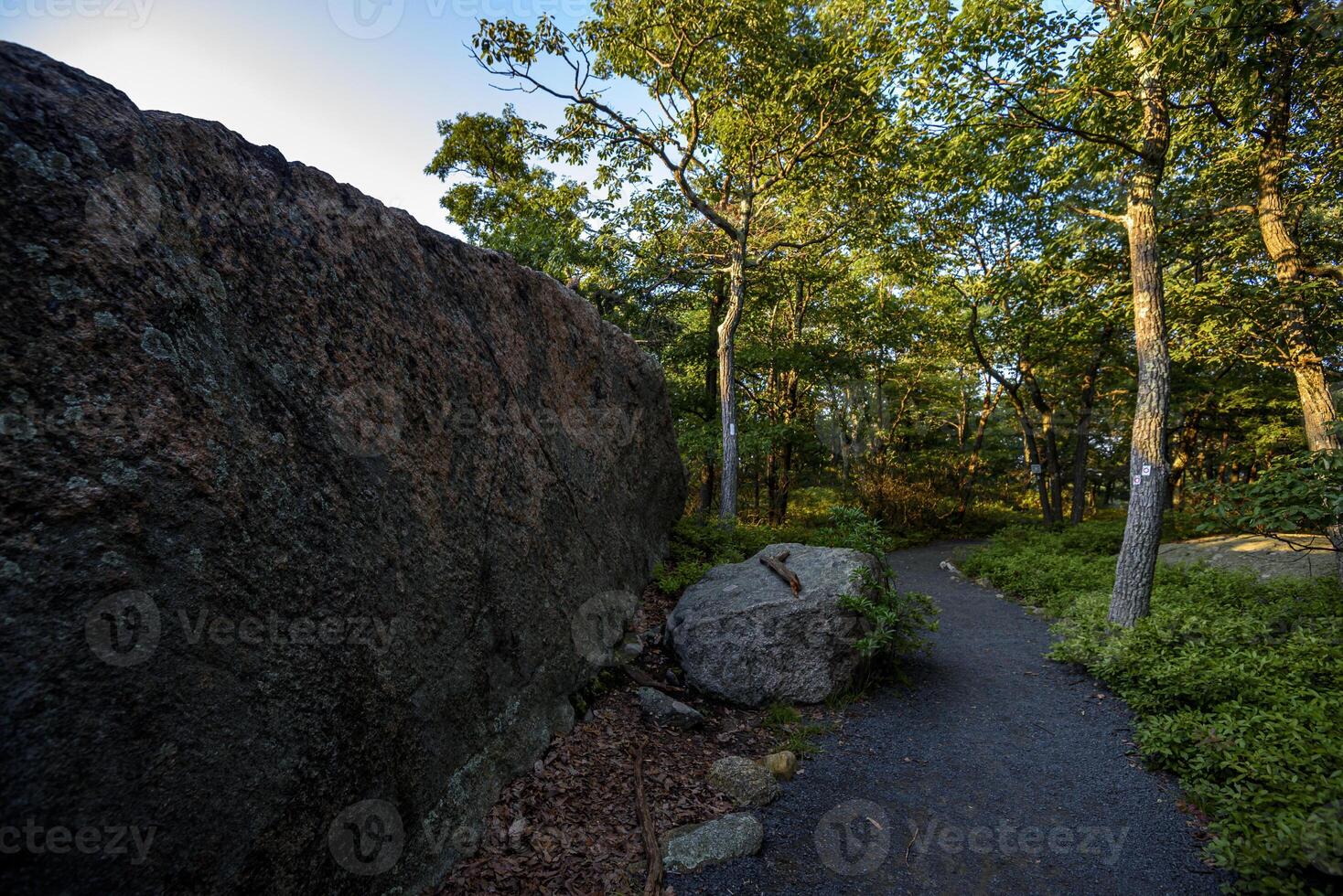 Hot Day on Bear Mountain photo