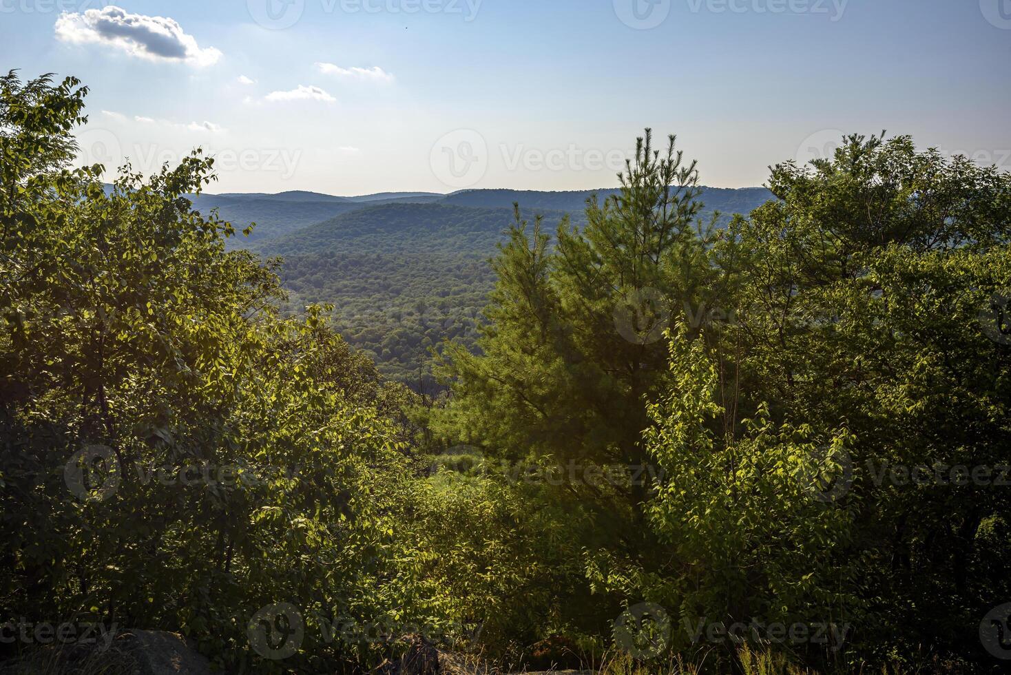 Hot Day on Bear Mountain photo