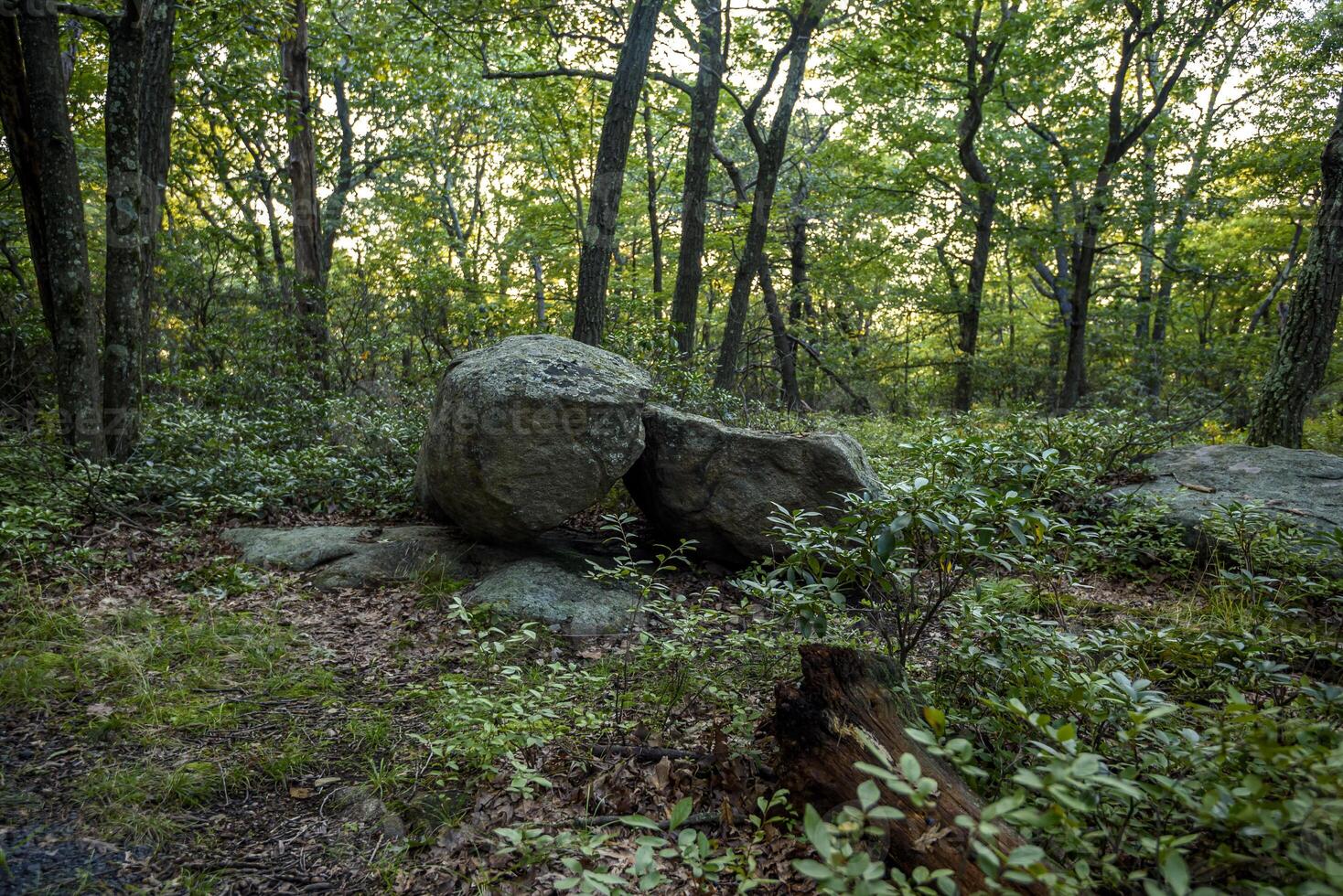 Hot Day on Bear Mountain photo